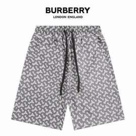 Picture of Burberry Short Pants _SKUBurberryM-3XLjdtxk2016539